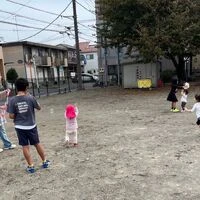 画像251