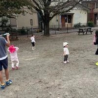 画像252