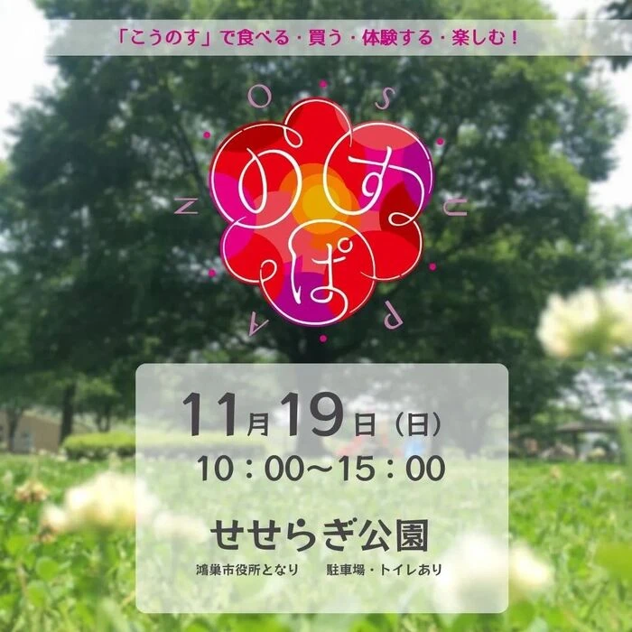 画像291