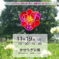 画像299