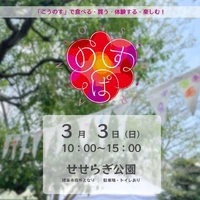 画像488